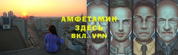 шишки Новосибирск
