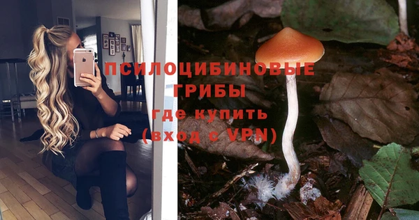 MDMA Каменногорск