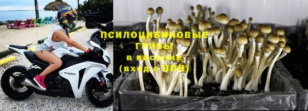 MDMA Ессентукская