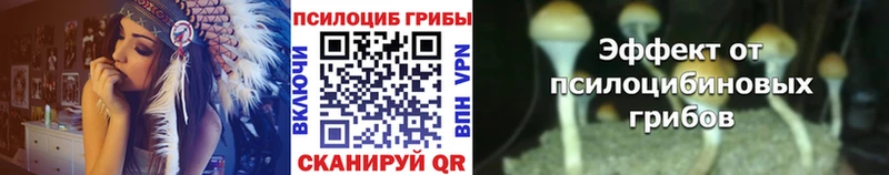 Псилоцибиновые грибы Psilocybe Тбилисская
